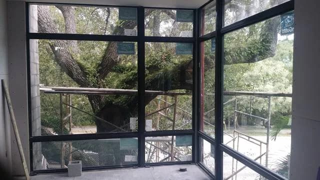 Impact glass wall onto mature planting